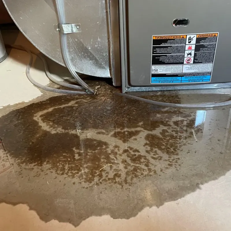 Pipe Burst and Leak Restoration in Avondale, IL